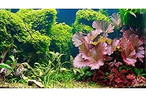RIIVVDISE Aquarium Background Underwater Grass Leaves Pebble Aquarium Backdrop Vivid and Fresh Green Aquatic Plant Background Stone River Bed DeadWood Purple Leaves Tank Background Decor Vinyl 30x18in