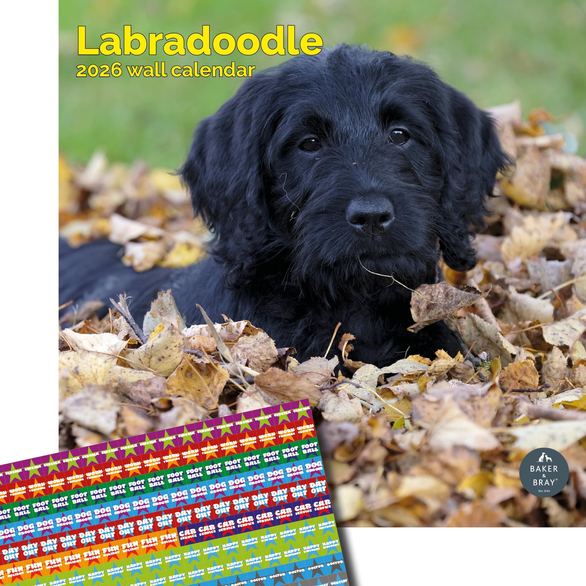 Baker and Bray Labradoodle Calendar 2026, Large Square Wall Calendar With Organisational Stickers, 16 Month, Labradoodle Gift Dog Calendar