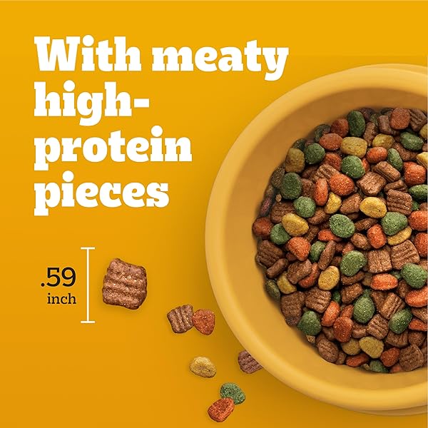 PEDIGREE DRY DOG FOOD FOR ADULT DOGS, HIGH PROTEIN, TURKEY AND CHICKEN FLAVOR, 3.5 LB. BAG