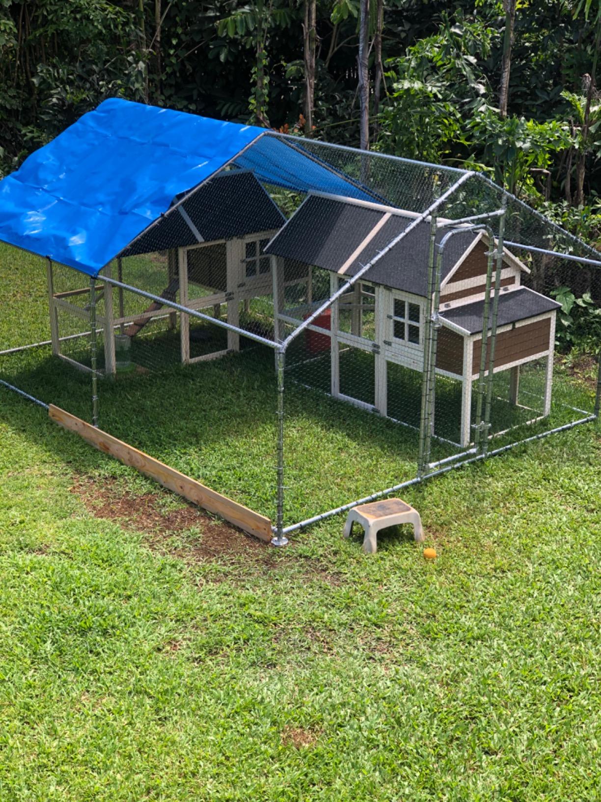 42/mo Finance ALEKO Metal DIY Walkin Chicken Coop or Chicken Run with Blue Waterproof Cover