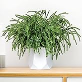 Real Touch Christmas Norfolk Pine Branches -18" Artificial Pine Branches Green Plants Branches for Holiday Floral Arrangements, Wreaths, Craft DIY and Home Xmas Decorations (4PCS(24 sprigs))