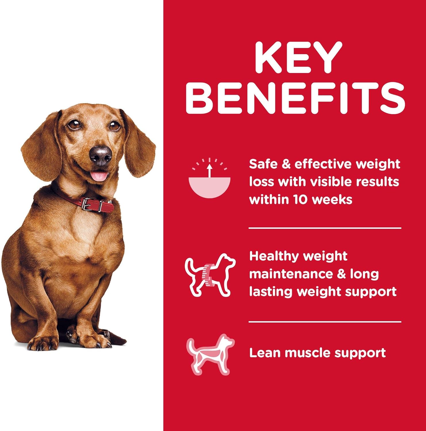 Hill's Science Diet Dry Dog Food, Adult, Perfect Weight for Healthy Weight & Weight Management, Small & Mini, Chicken Recipe, 15 lb Bag: Pet Supplies