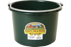 Miller Manufacturing P8GREEN Plastic Round Back Bucket for Horses, 8-Quart, Green
