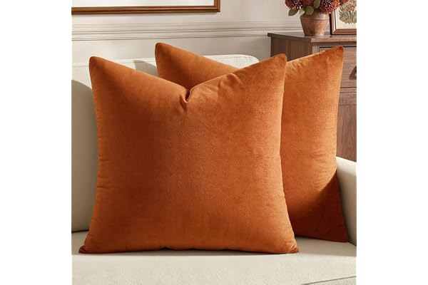 MIULEE Pack of 2 Fall Velvet Decorative Throw Pillow Covers 18x18 Orange | Modern Luxury Home Decor for Couch,Sofa,Bedroom,Li