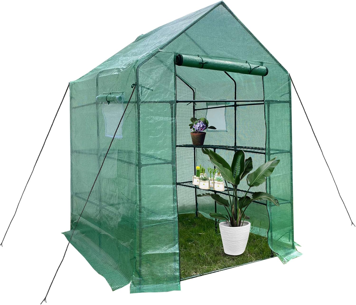 Mini Plant Gardening Greenhouse, Portable Walkin