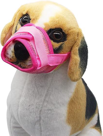 muzzle to stop eating