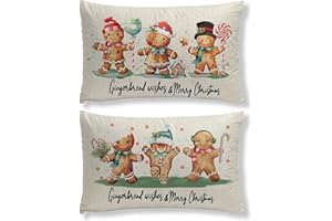 HINGTAI 2Pcs Christmas Gingerbread Pillow Covers, Vintage Winter Pillowcase Decor, Xmas Decorations for Home Farmhouse Sofa Couch