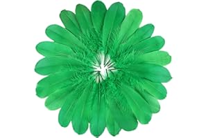 FeelfunFeather 120pcs Grass Green Goose Feathers 6-8 Inch 15-20cm Decorative Natural Goose Nagoire Feather Bulk for DIY Crafts Cosplay Wedding Party Christmas Halloween Home Decoration
