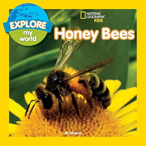 Download Explore My World: Honey Bees PDF