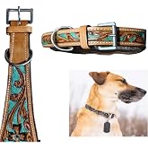 Majestic Ally Leather Dog Collar with Adjustable, Padded Fit for Walking, Hiking, and Running, Designer Western Wear for Puppies, Fancy Colors (Turquoise - Natural, Large)
