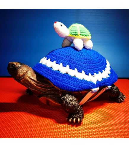 Sweater For Turtle Handmade Knitted Sweater For Pet Tortoise