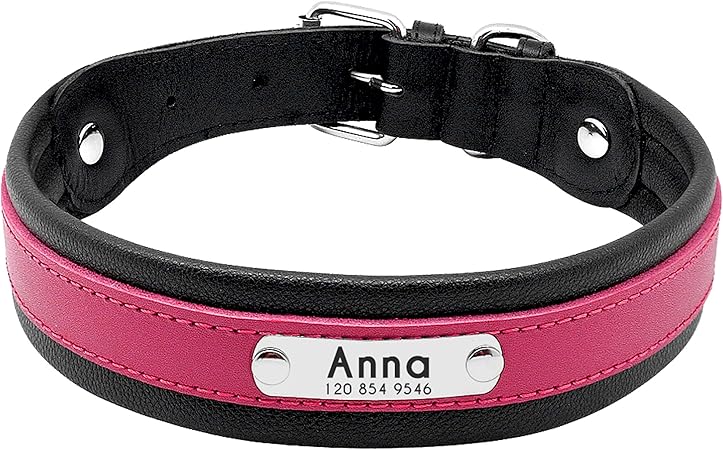 personalized large dog collars