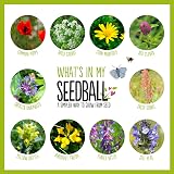 Seedball Wildlife Seed Bombs 100 Pack Bee Friendly Wildflower Mix view 4