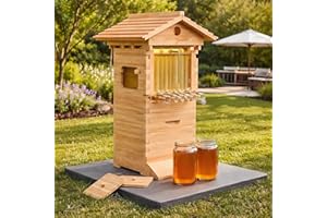 Beginner's Complete Bee Hive Kit, Wooden Beehive Box with Observation Window & Honey Tap, Includes Carpenter Bee House for Po