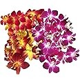 Fresh Orchid Flower OrchidClub USA Loose Bloom DIY Lei Food Drink Decoration (50YELLOW 50PURPLE)