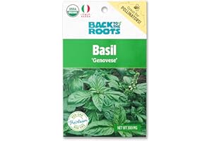 Back to the Roots 100% Organic Seed Packet Basil Genovese