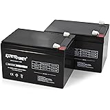 2 Pack ExpertPower 12 Volt 12 Ah Rechargeable Battery || EXP12120 Replaces APC RBC6 UPS SMC1500, SMT1000 and SUA1000 smart UPS1000