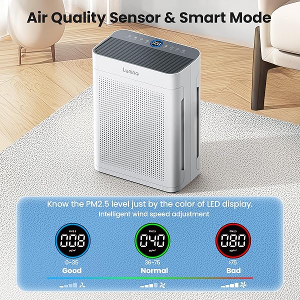 AIR PURIFIERS FOR HOME LARGE ROOM UP TO 3000SQ.FT, LUNINO HEPA DOUBLE-SIDED AIR PURIFIER WITH WASHABLE FILTER, PM 2.5 DISPLAY AIR QUALITY SENSORS, AIR CLEANER FOR PETS HAIR, ODOR, DUST, SMOKE, POLLEN