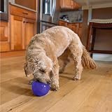 Outward Hound Lil' Snoop Durable Interactive Treat Dispensing Toy Small Purple view 8
