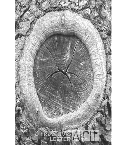 Creative Letter Art? - Letter E - 4 By 6 Inch Black New Zealand