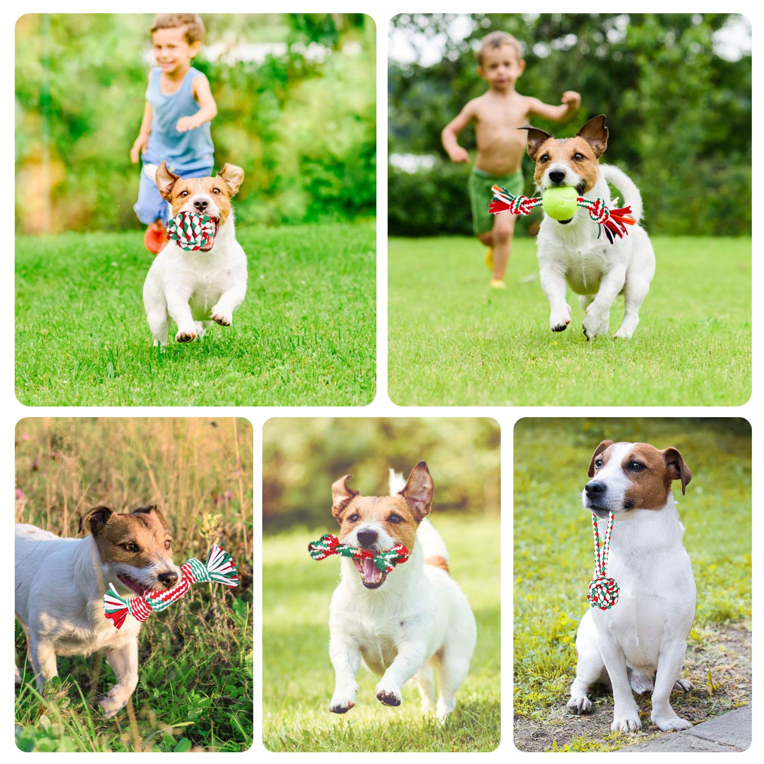 Pecute Dog Squeaky Rope Chew Toys, Cloth Rope Chew Toys 6pcs Set for Dog Molars Training, Cleaning Tooth Oral Cavity, Applicable to Small and Medium-Sized Dogs