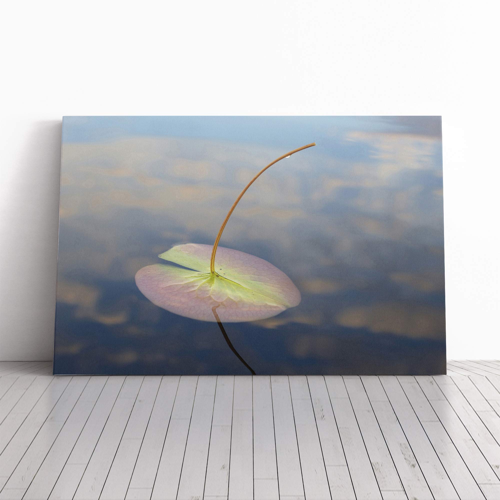 Lily Pad Pond Canvas Print | Gallery Wrapped 30mm Frame Wall Art | 20x14 inches | Ready to Hang | Modern Floral Picture | Living Room Bedroom Lounge Office