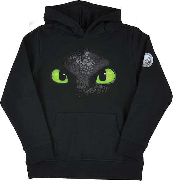 toothless sweatshirt