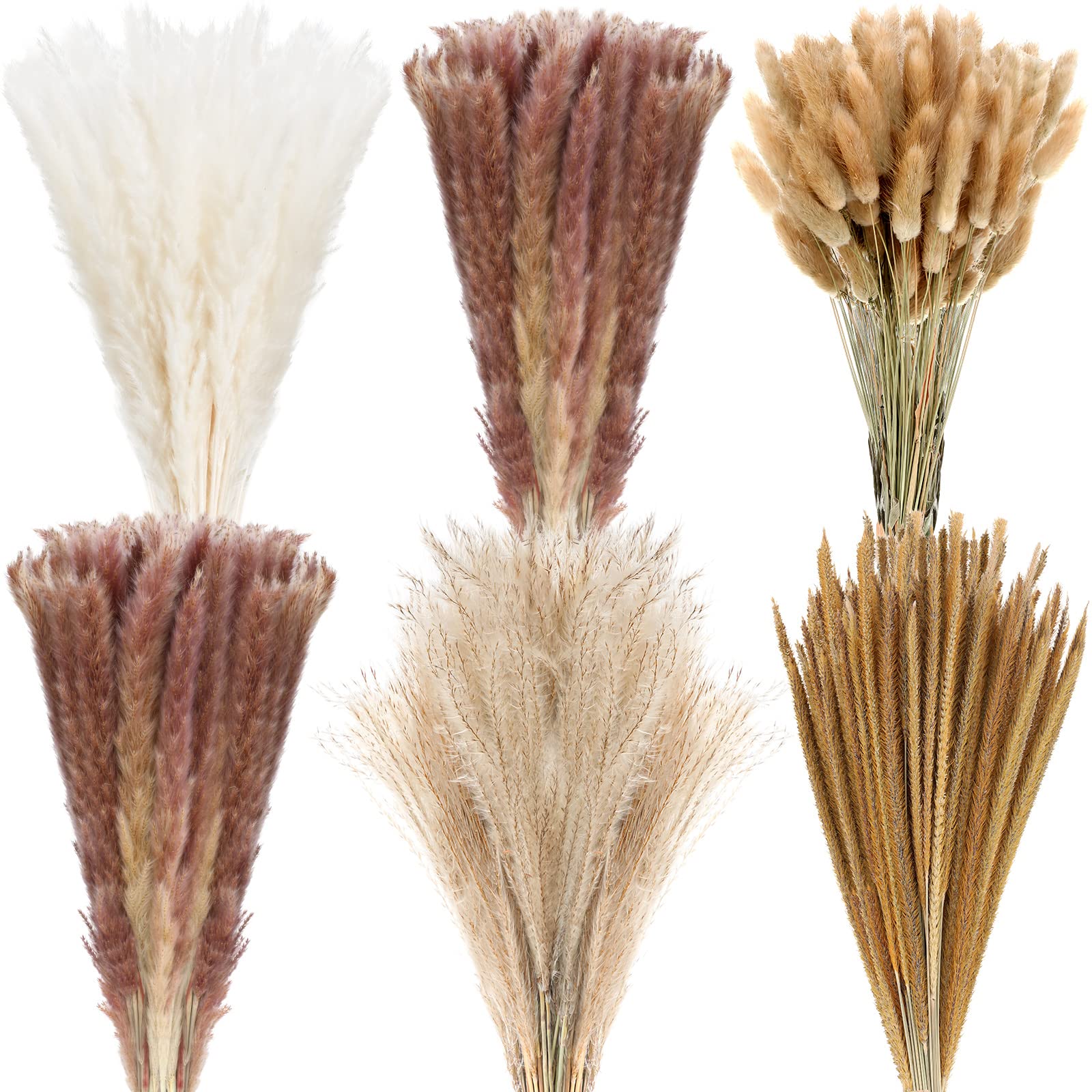 Photo 1 of 500 Pcs Dried Pampas Grass Decor Natural Pampas Grass Bouquet 17 in Boho Home Wedding Party Decor Flower Arrangement Phragmites Dried Flower White Pampas Grass Brown Reed Bunny Tail