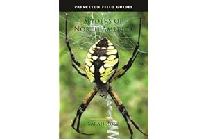 Spiders of North America (Princeton Field Guides)