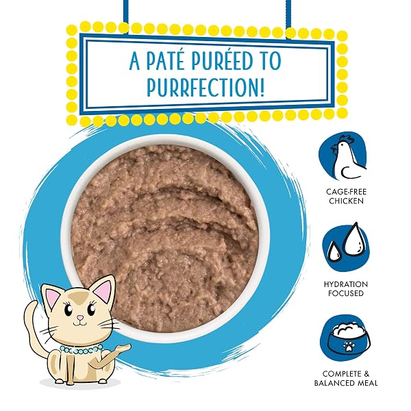 WERUVA SLIDE N’ SERVE PATÉ WET CAT FOOD, JEOPURRDY LICIOUS CHICKEN DINNER, 2.8OZ POUCH (PACK OF 12)