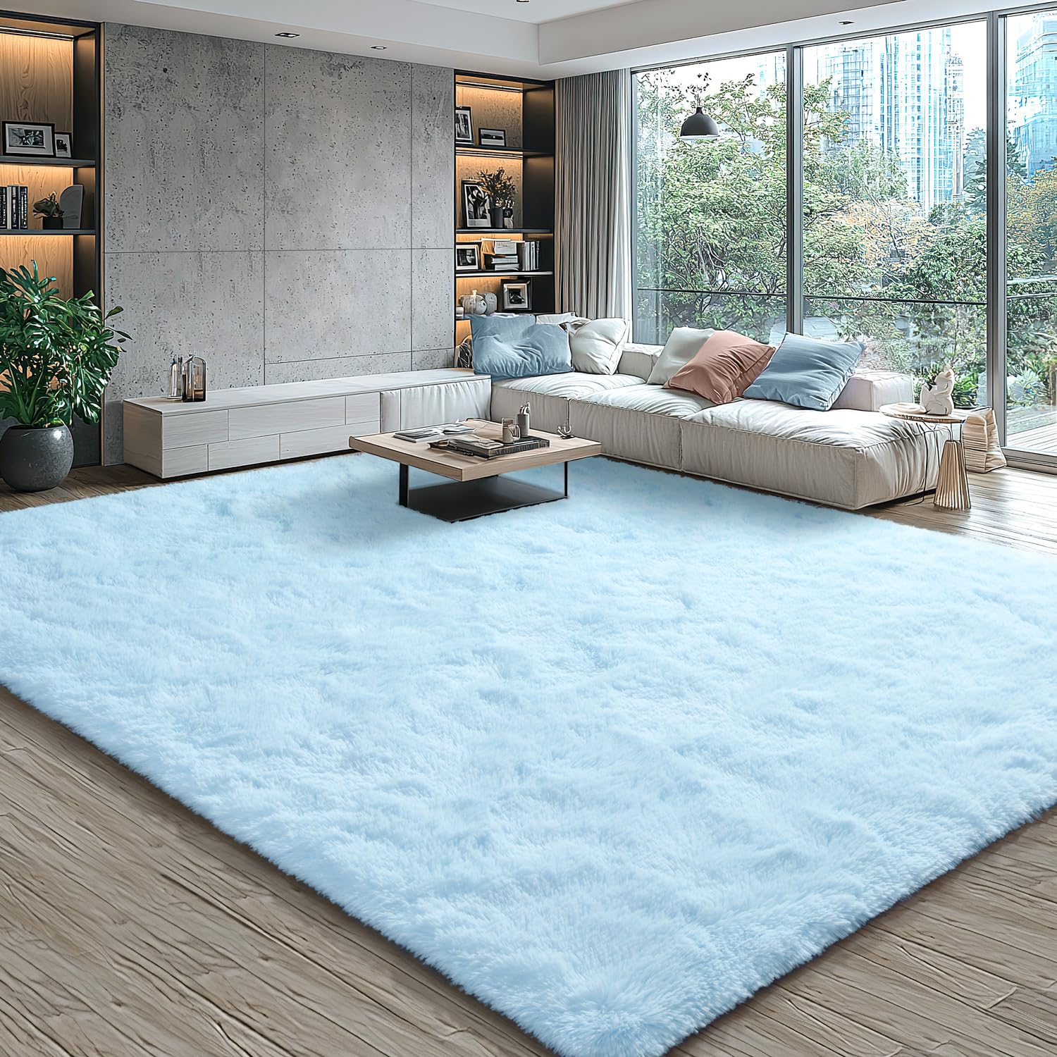 EVOIONOS 5x8 Washable Large Area Rug for Living Room, Fluffy Shag Rug for Bedroom, Ultra Soft Plush Non Slip Carpet Indoor Floor Bedside Nursery Kids Girls Room Dorm, Home Decor Aesthetic, Light Blue Image