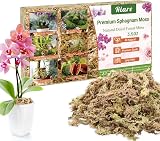 Riare Natural Sphagnum Moss 100g Long-Fibered Orchid Carnivorous Plants