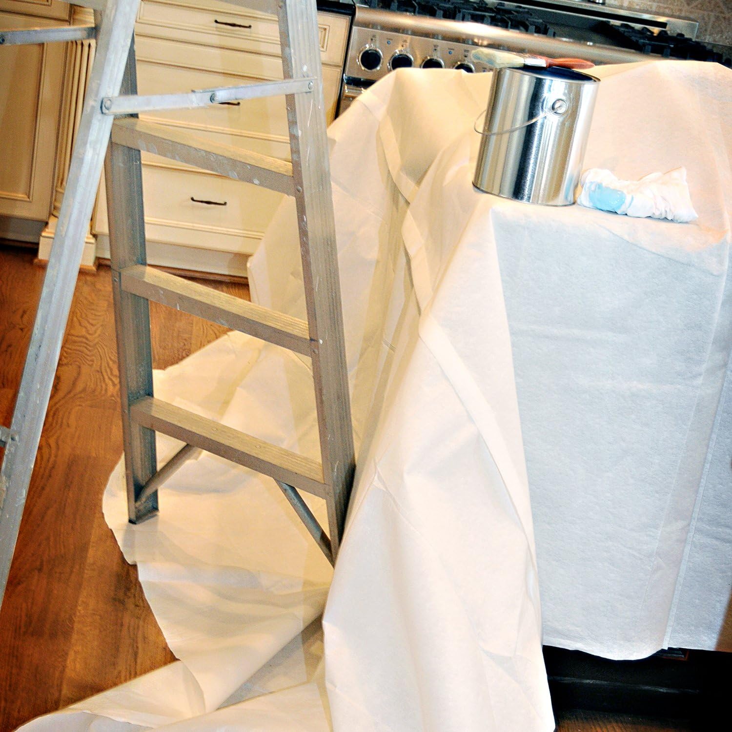 Trimaco 2602 Double Guard Super Tuff 2-Layer Drop Cloth, 4-feet x 10-feet: Home & Kitchen