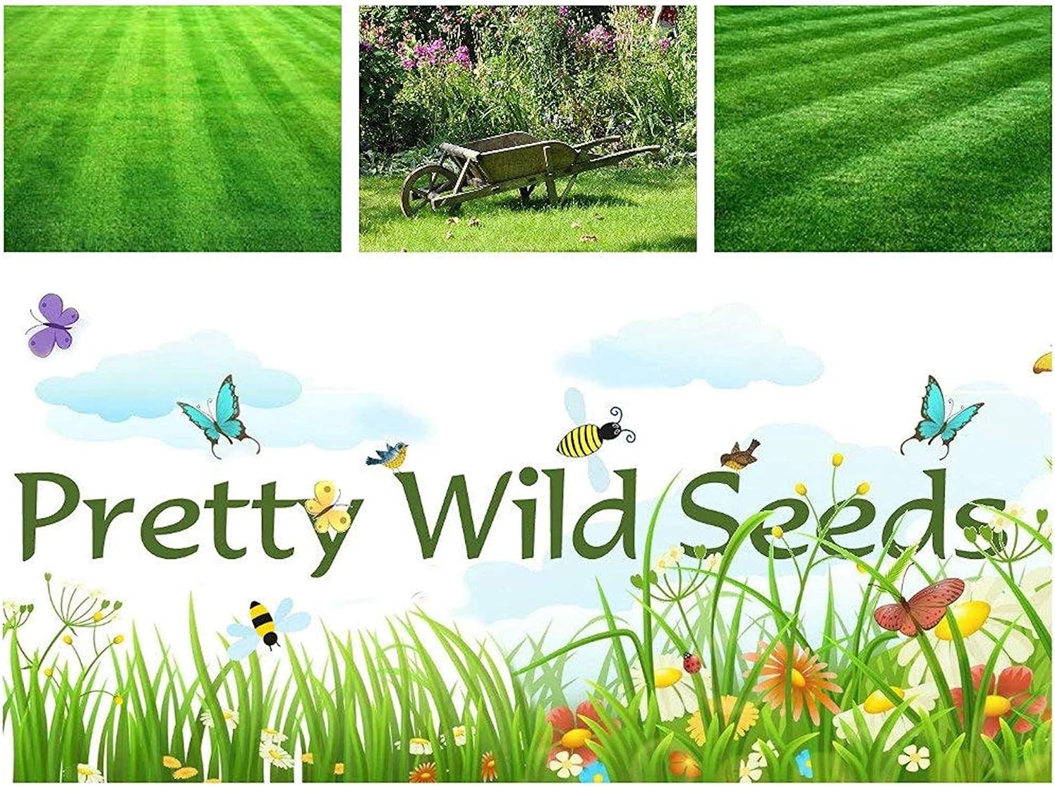 Fast Growing Rapid Lawn Recovery Grass Seed Amazing Quick Repair Pets Dogs by Pretty Wild Seeds (1kg), Green,Red - Image 3