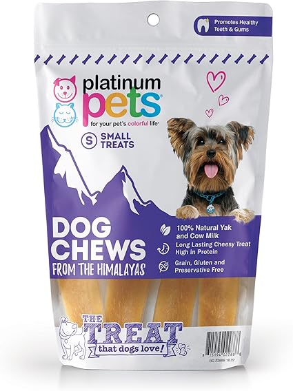 puppy chewing cardboard