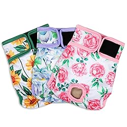 Grecle Washable Female Dog Diapers - Premium