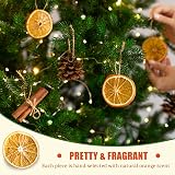 Fox·Bunny 30Pcs Dried Orange Slices with Hemp Rope Christmas Wreath Making view 4