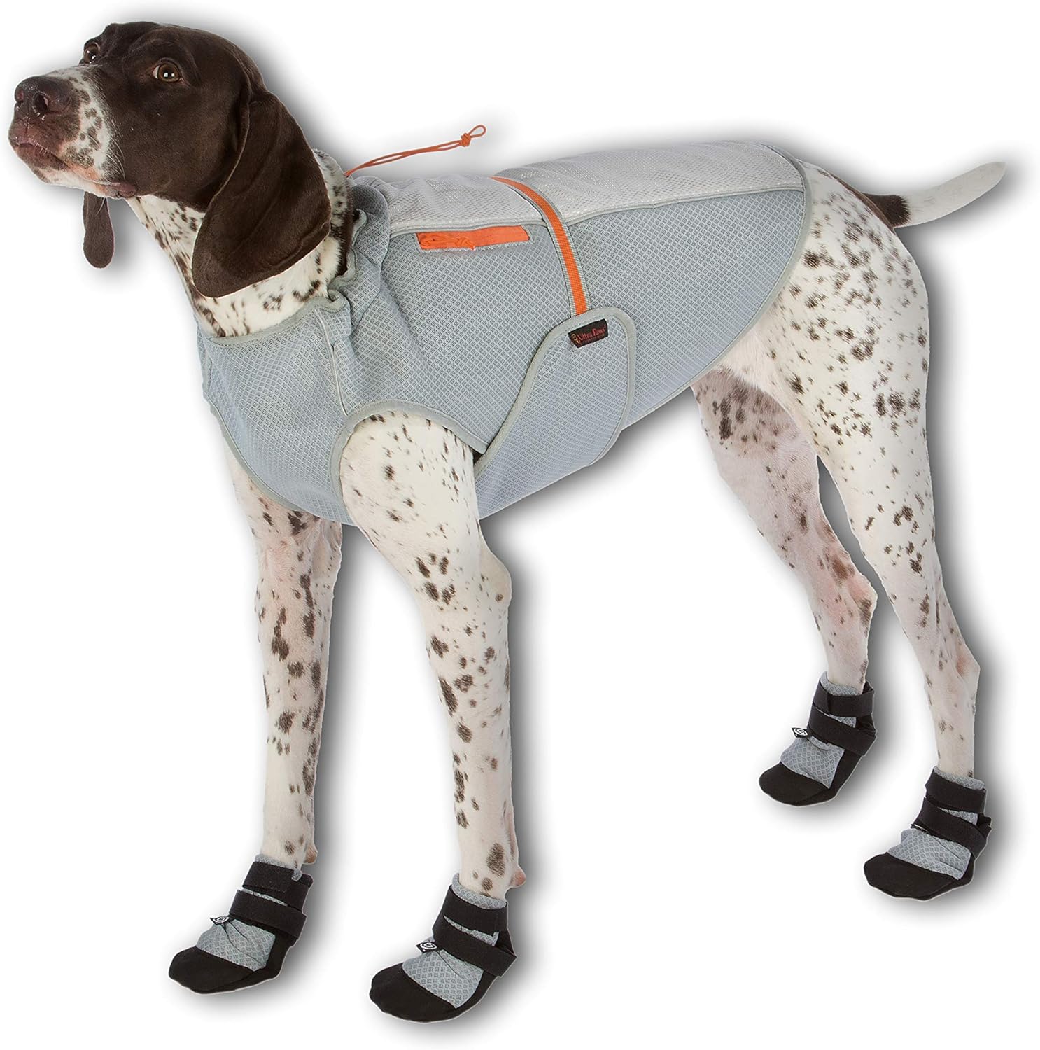 cool packs for dogs