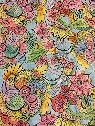 Amazon Com Natural Wonders Color Art For Everyone