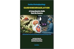 CARDIONEUROABLATION - A Comprehensive Guide from the Creators: Stop the Heart for Survival: Unveiling the Fascinating Strateg