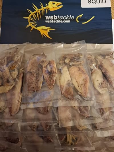 FFT Preserved Sea Bait Pack Rag Worm Squid Sand Eel Mackerel White Bait