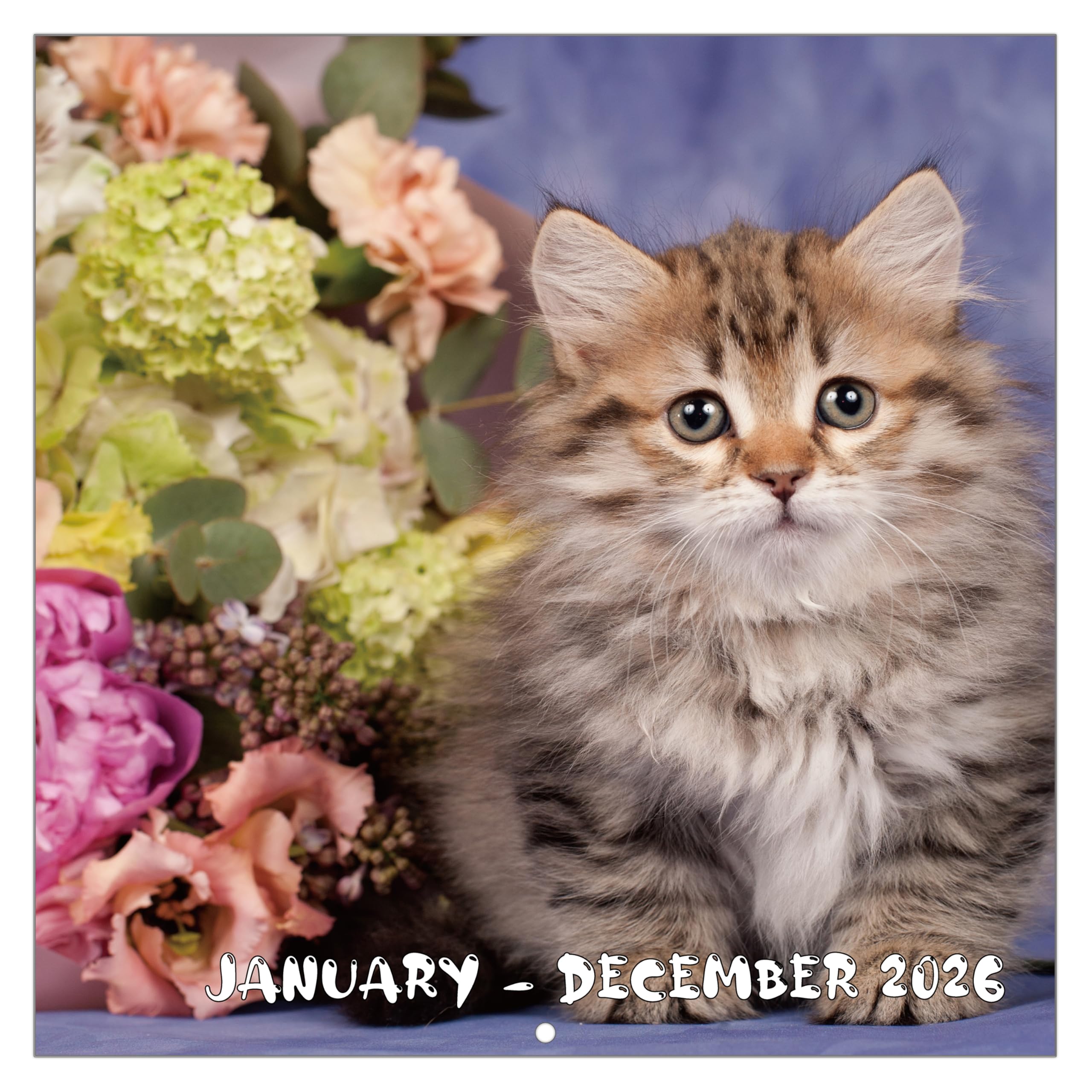 View 1 of 2026 Calendar, 2026 Wall Calendar, Cute Cats Calendar 2026. Jan. 2026 - Dec. 2026, 12" x 24" (Open), 12-Month Cats ? Flower Wall Calendar, Large Blocks, Thick Paper, Hanging Holes, Ample Writing Space