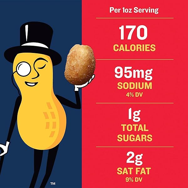 PLANTERS SALTED PEANUTS, 2.5 OZ, 15-PACK, SNACK NUTS