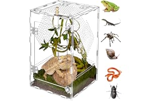 OREKEMO Acrylic Reptile Terrarium Easy Assembly, 360° Clear & Keep Pet Secure Design for Jumping Spiders, Tarantulas, Geckos Scratch-Resistant Large Ventilated Habitat Terrarium for Arachnids 11.8*7.9*7.9in