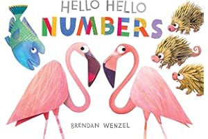 Hello Hello Numbers (Brendan Wenzel)