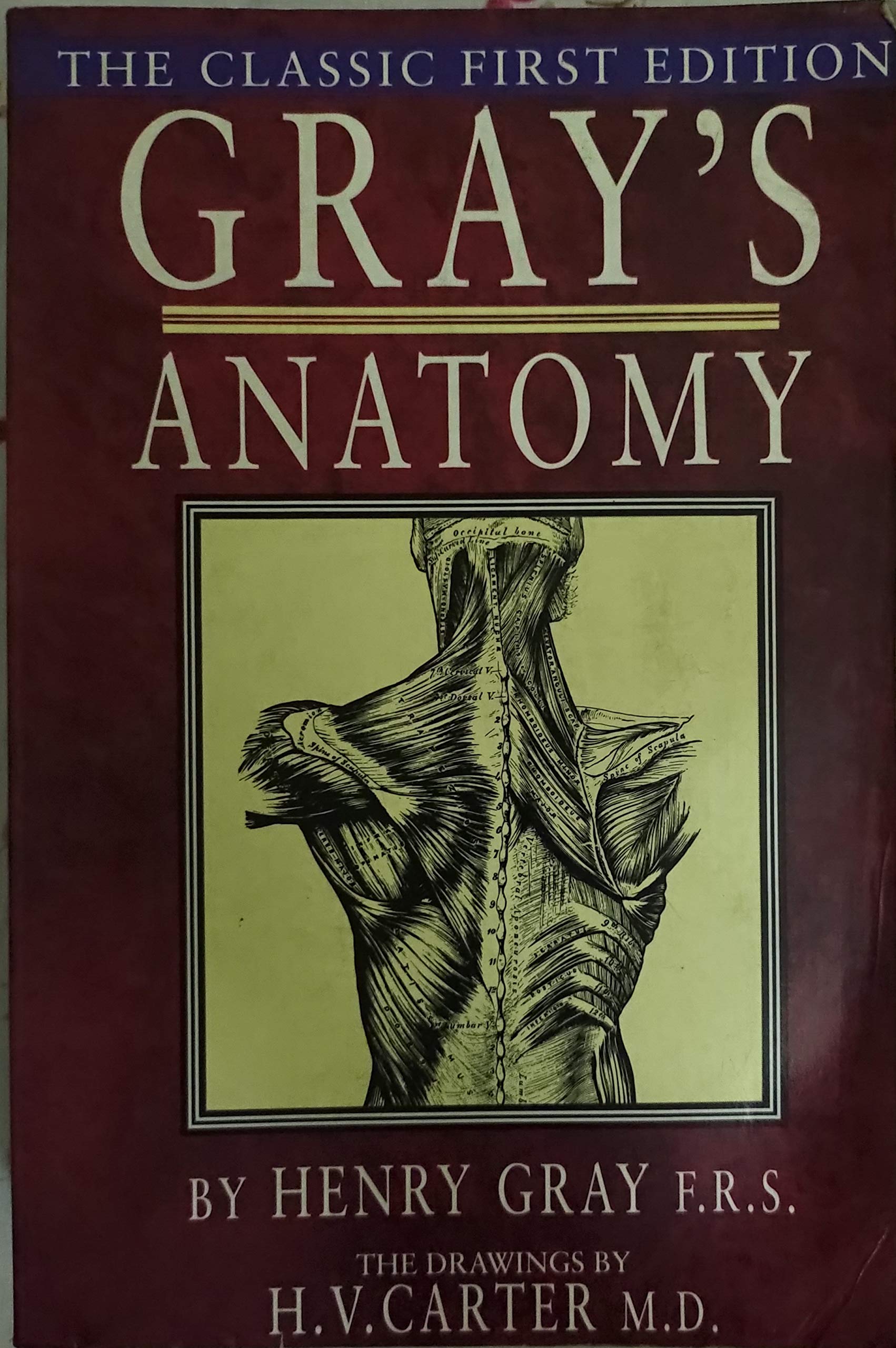 訳あり Gray S Anatomy The Classic First Edition その他