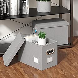 DYWMM Hanging File Box with Lid, Set of 4 Filing
