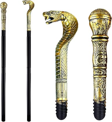 walking stick accessories