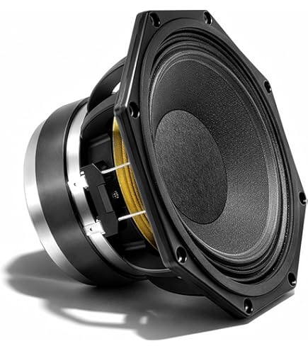 Amazon.com: B&C Speakers R8PE21-8 Kit de recono para B&C 8PE21 8