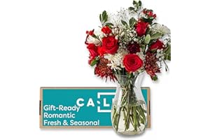 Callia - Valentine's Day Bouquet - Red Roses with Other Blooms, Hand-Tied Fresh Cut with Vase, Fresh Flowers Delivery for Rom